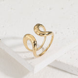 טבעת פרנסין