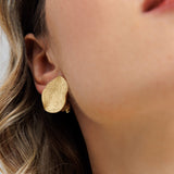 עגילי מטבע בראש (קליפס)